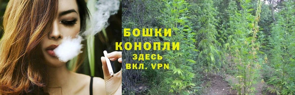 альфа пвп Новодвинск
