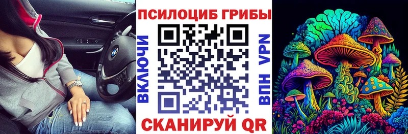 Галлюциногенные грибы Psilocybine cubensis  цены   Сосенский 